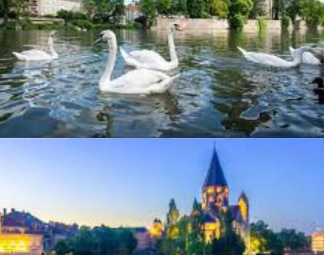 L'abstrait Metz Thionville Wifi Un-sejour-a-part *